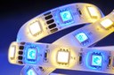 White Paper: Extending the Life-Time of LEDs