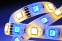 White Paper: Extending the Life-Time of LEDs White Paper: Extending the Life-Time of LEDs