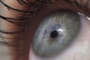 Australian Associated Press Recently Wrote: Red Light Could Improve Over-40s' Eyesight Australian Associated Press Recently Wrote: Red Light Could Improve Over-40s' Eyesight