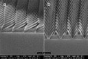An Old Story Re-Edited? - Firefly-Inspired Surfaces Improve LED Efficiency An Old Story Re-Edited? - Firefly-Inspired Surfaces Improve LED Efficiency
