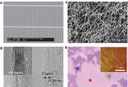 New Options for Transparent Contact Electrodes New Options for Transparent Contact Electrodes