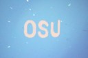 Researchers from Oregon State University Develop Quantum Dot Technology that may Help Light the Future Researchers from Oregon State University Develop Quantum Dot Technology that may Help Light the Future