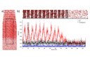 Uncovering Oxygen’s Role in Enhancing Red Eu-Doped GaN LEDs Uncovering Oxygen’s Role in Enhancing Red Eu-Doped GaN LEDs