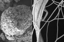 MIT Researchers Developed New Heat Conducting Polymer Films MIT Researchers Developed New Heat Conducting Polymer Films