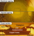 Thermally Activated Degradation of Phosphor-Converted White LEDs